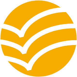 VAGUE ORANGE